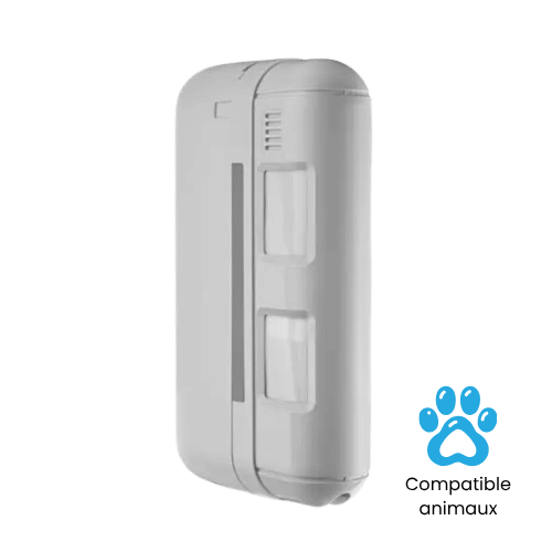 Détecteur de mouvement rideau Daitem 145-21X