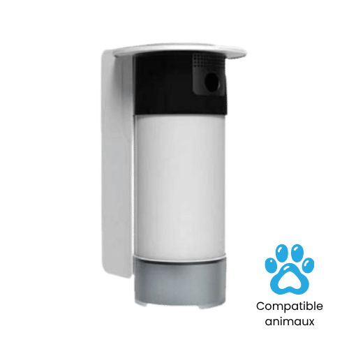 Détecteur de mouvement extérieur Daitem SH156AX