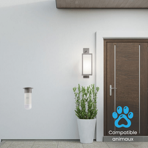Détecteur extérieur compatible animaux – DIAG31BPX
